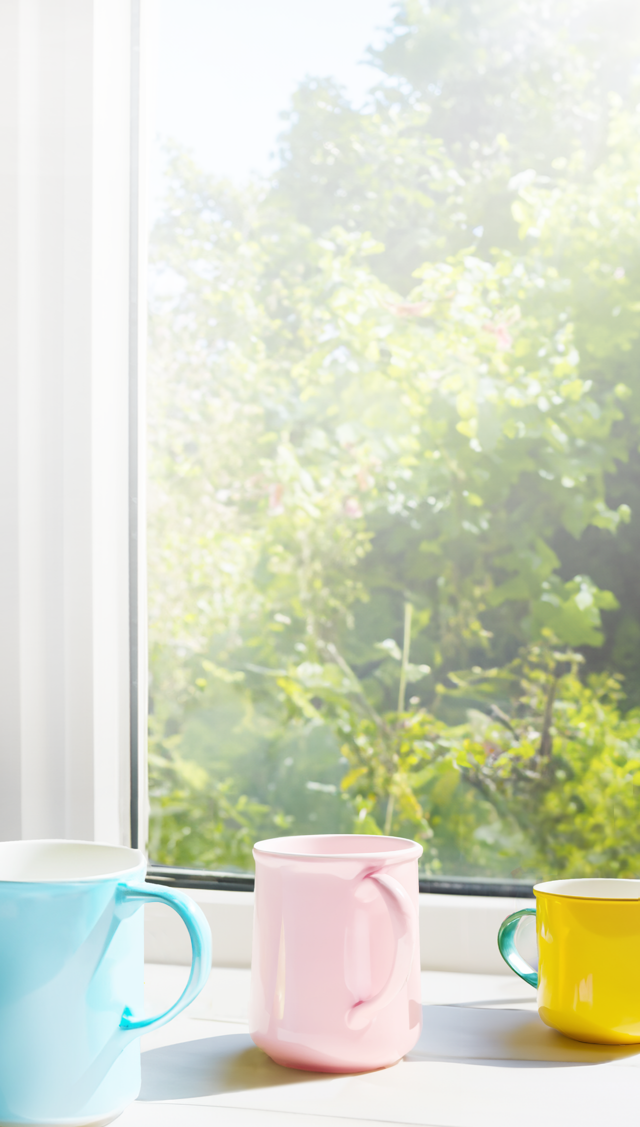 スタンダードプラン背景